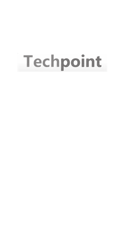 Techpoint, Inc. ロゴ